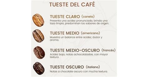 Esquema comparativo entre granos de café tostados y granos de café verde, destacando sus componentes.