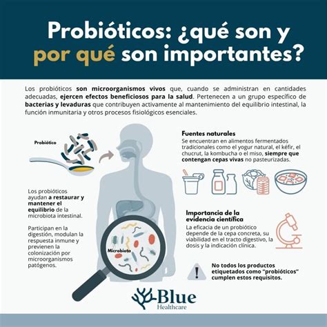 Infografía sobre los beneficios nutricionales de los probióticos, proteína, vitamina D y magnesio