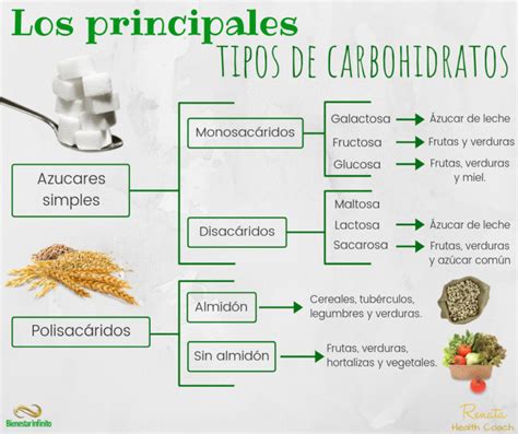 infografía sobre los diferentes tipos de carbohidratos y sus fuentes