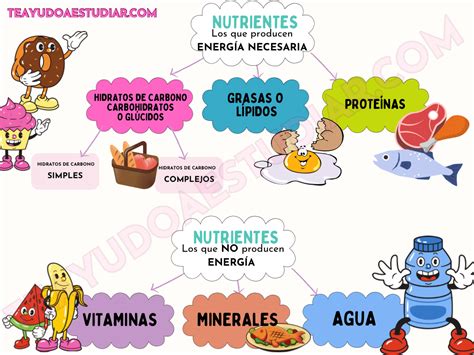 Esquema de los principales nutrientes críticos en dietas vegetarianas pediátricas