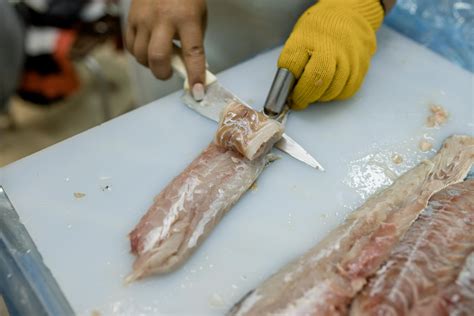 Herramientas y pasos iniciales para el fileteado artesanal de salmón