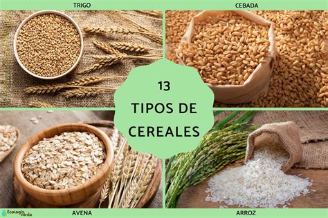 Foto de diferentes tipos de tortitas de cereales envasadas