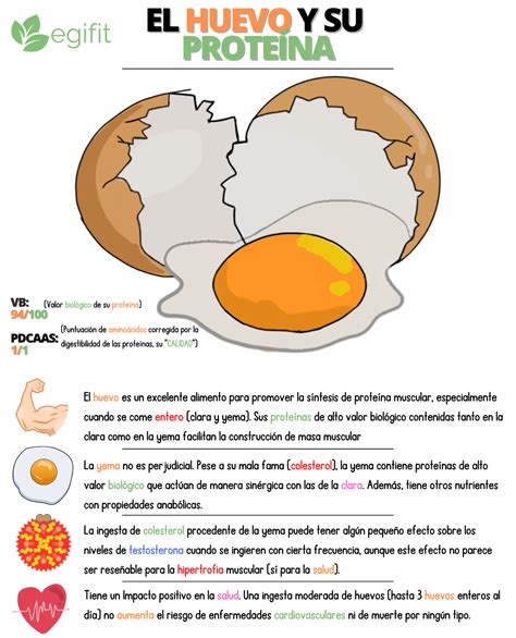 Gráfico comparativo de la cantidad de proteína en la clara y la yema de un huevo.