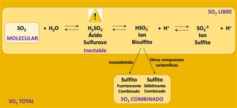 Ilustración que explica la formación del olor sulfuroso en huevos duros.