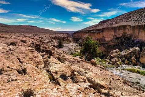 Paisaje del Valle de Camarones con el río y vegetación en medio del desierto