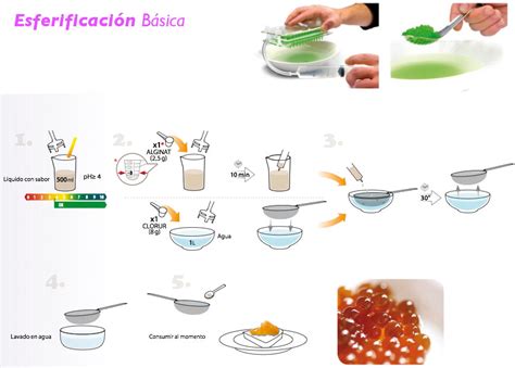 Esquema visual del proceso de esferificación aplicado a la encapsulación de agua mediante una doble membrana de algas.