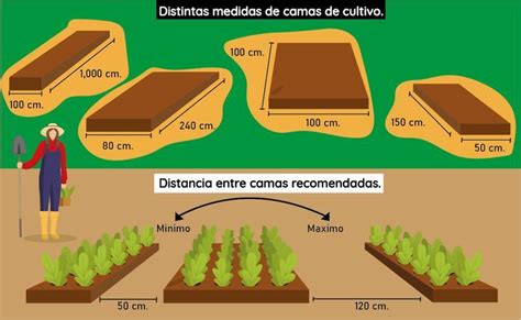 Diagrama mostrando el tamaño de terreno recomendado (5x2) para sembrar la Planta Vaca en Los Sims 4.