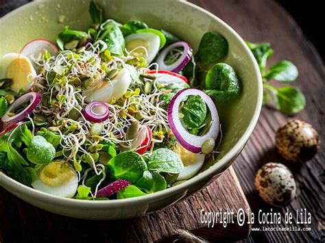 ejemplo de emplatado de ensalada con brotes de lenteja y cuscús