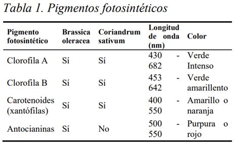 Tabla comparativa de pigmentos en vegetales y su estabilidad al calor (clorofila, carotenos, flavonas).