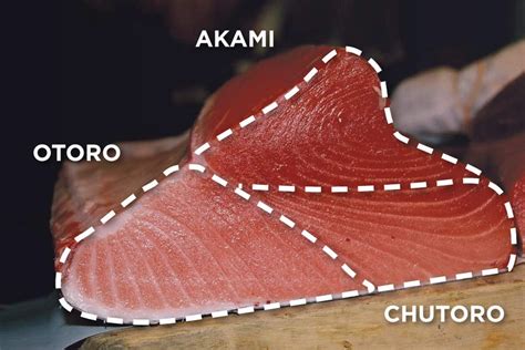 Cortes de atún para sushi (akami, chutoro, otoro)