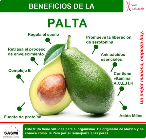 Infografía detallada sobre los antioxidantes presentes en la palta y sus funciones