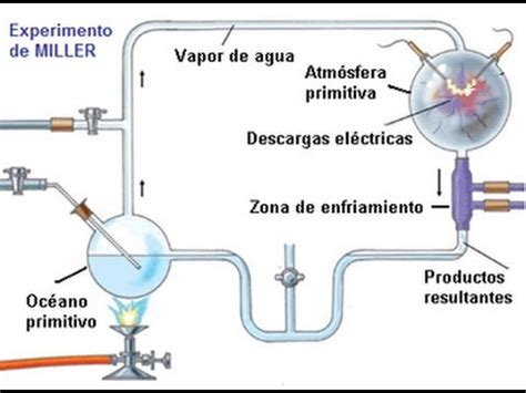 Esquema del aparato utilizado en el experimento de Miller-Urey