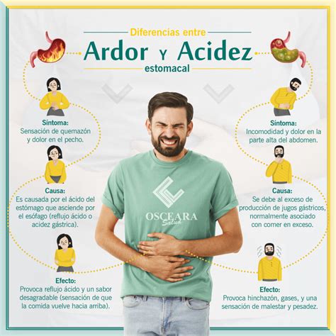 Infografía comparativa de ingredientes alcalinos para combatir la acidez estomacal.