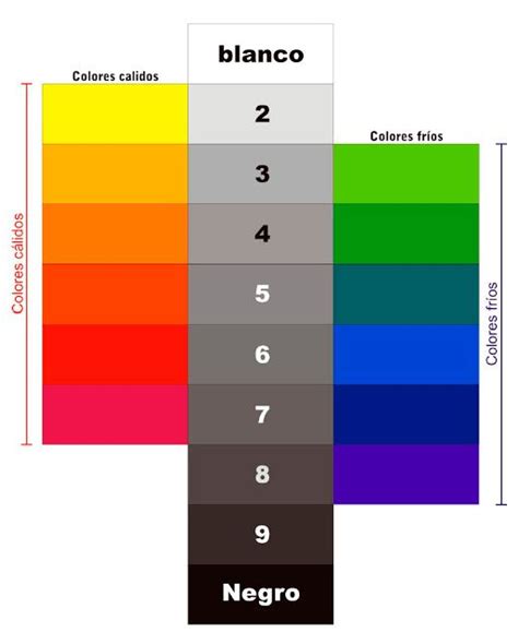 Esquema visual que muestra la escala de colores del membrillo: desde el verde (inmaduro) hasta el amarillo intenso (maduro) y manchas oscuras (sobremaduro).