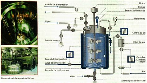 Diseño experimental de un biorreactor con sistema de aireación continua