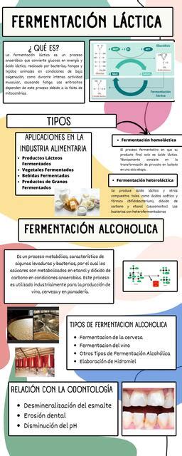 Infografía comparativa entre fermentación alcohólica y fermentación láctica