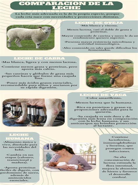 Infografía: Comparación nutricional de leches (oveja, vaca, cabra)