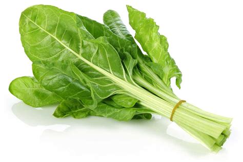 Ilustración de tallos de acelga frescos y limpios, listos para ser cocinados.