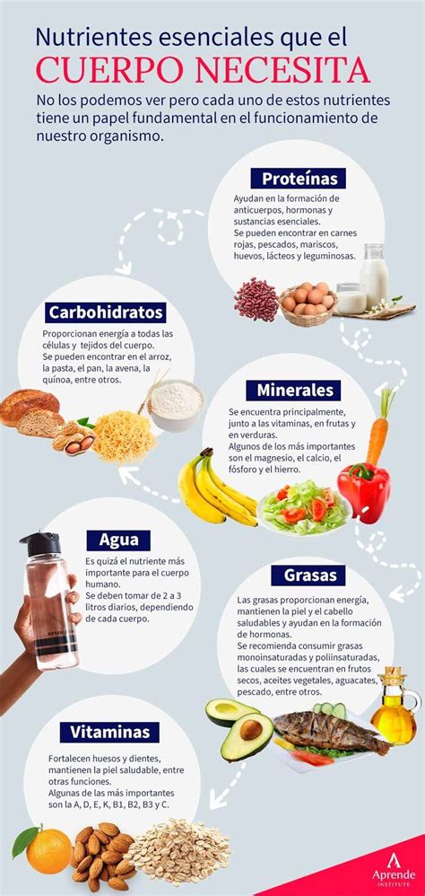 Infografía detallando los principales nutrientes y vitaminas presentes en los tallos de acelga.