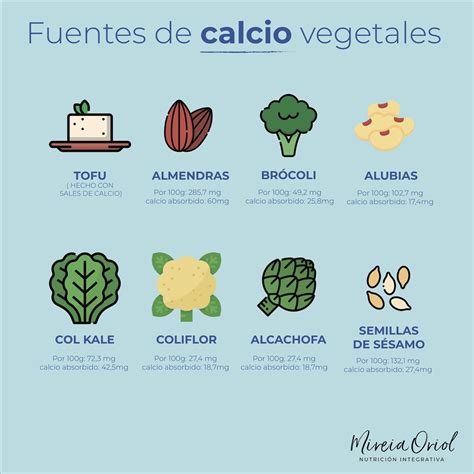 Infografía: Fuentes de calcio (lácteos y alternativas vegetales)