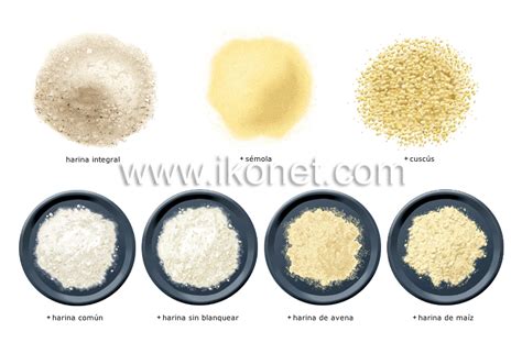 Infografía comparativa entre sémola y semolina, mostrando diferencias de molido y usos