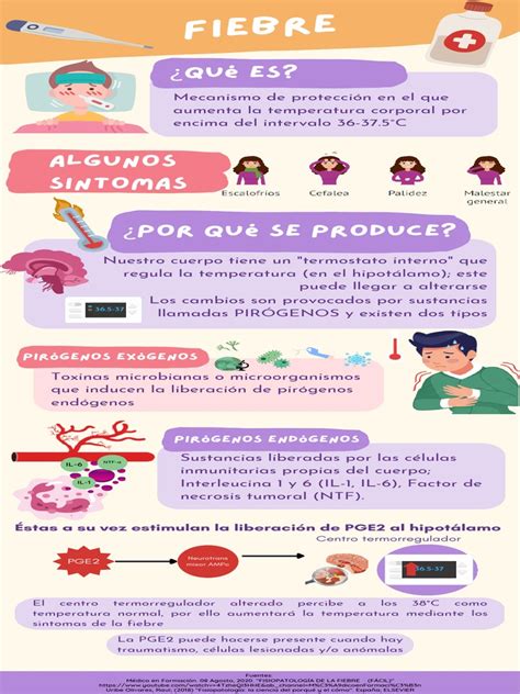 infografía explicando el flujo de postulación y pago del estipendio para cuidadores
