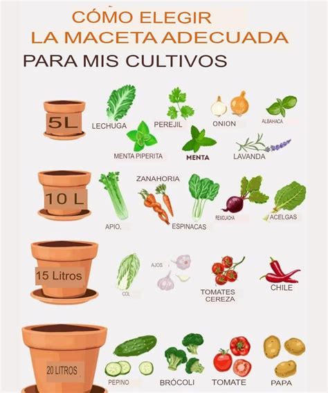 Ilustración mostrando cómo preparar una maceta profunda para espinacas con capa de drenaje.