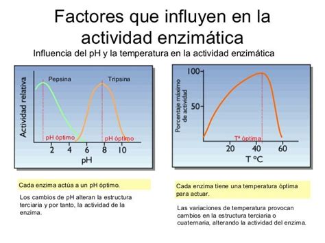 Gráfico que muestra la influencia de la temperatura y el pH en la actividad acuosa