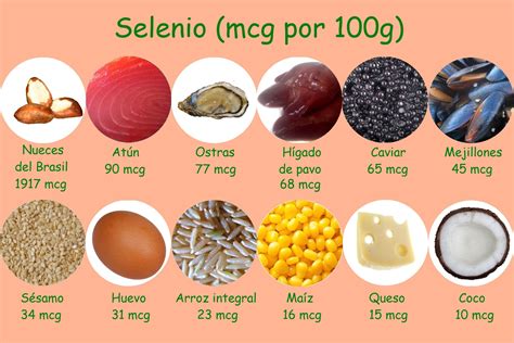 Infografía: Alimentos ricos en yodo, selenio y zinc