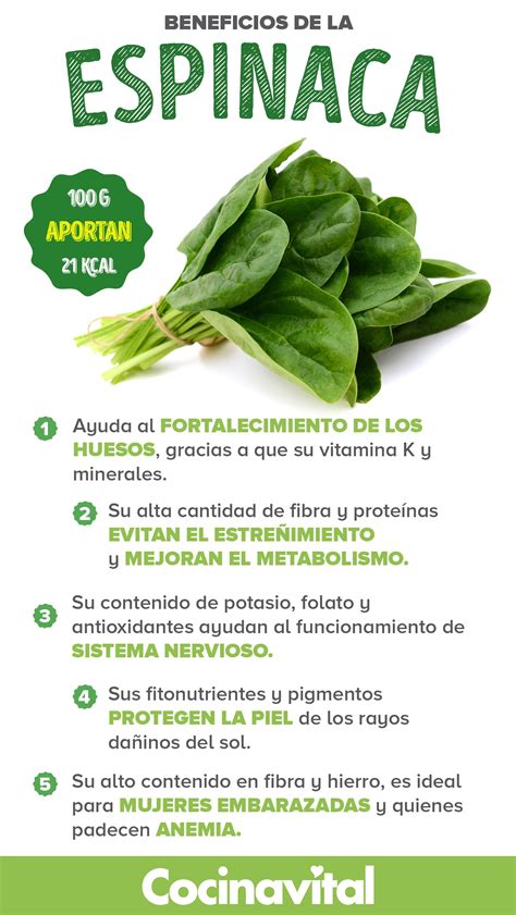 infografía detallando los nutrientes de la espinaca