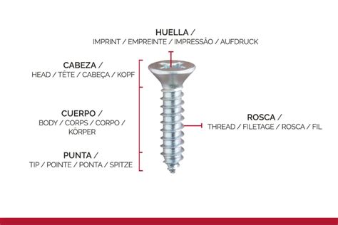 Esquema de un tornillo autoperforante con sus partes: cabeza, vástago, rosca y punta de broca, con cotas de diámetro y longitud