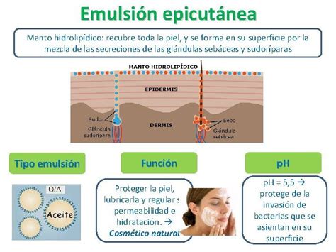 Esquema de cómo se forma la emulsión pilpil con aceite y gelatina