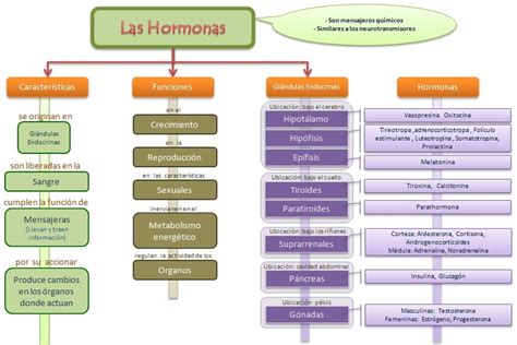 Esquema de las principales hormonas presentes en la leche de vaca y sus orígenes