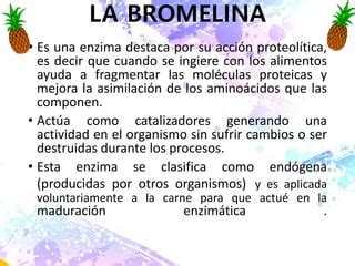 Diagrama que muestra la acción de la bromelina descomponiendo proteínas en el sistema digestivo.