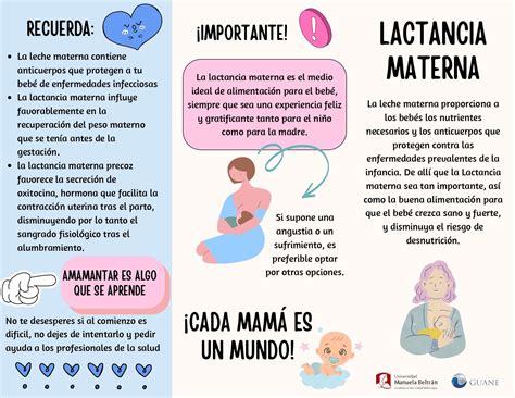 Esquema sobre el proceso de succión y los desafíos mecánicos en la lactancia materna