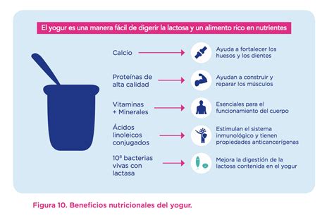 infografía sobre los beneficios nutricionales del yogur natural