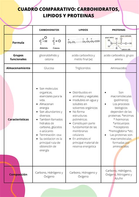 Esquema comparativo de los componentes nutricionales básicos en pastas: carbohidratos, proteínas y fibras.