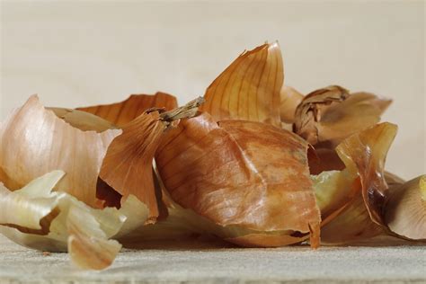 Fotografía de capas de piel de cebolla, ricas en antioxidantes