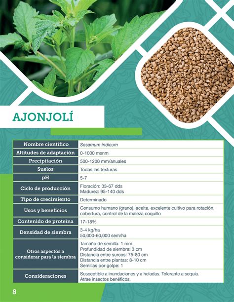 Infografía comparativa de los nutrientes de Moringa, Ajonjolí y Stevia
