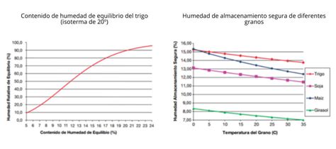 Gráfico del comportamiento de la humedad en galletas de arroz durante el almacenamiento