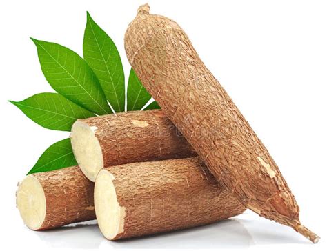 Foto de una raíz de yuca fresca sin pelar