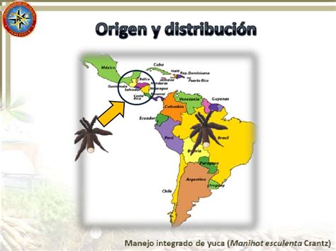 Mapa de la distribución y origen de la yuca