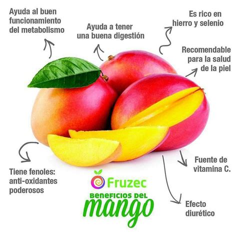 Infografía: Beneficios nutricionales del mango y sus variedades más comunes