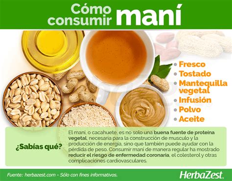 Infografía detallada sobre los componentes de la mantequilla de maní: maní tostado, grasas naturales y posibles aditivos.