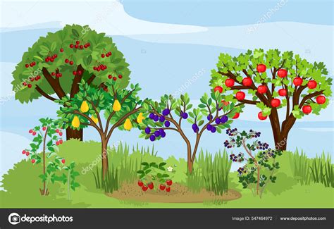 Dibujos de árboles con frutos y otros elementos, con su interpretación simbólica