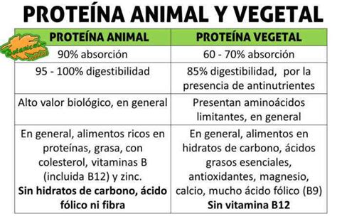 Tabla comparativa de fuentes de proteínas animales y vegetales