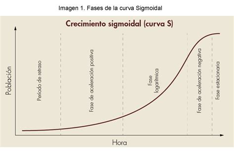 Gráfico conceptual de las curvas cinéticas de brotación, firmeza y pérdida de peso de arvejas en diferentes condiciones de almacenamiento
