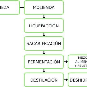 Esquema visual del proceso de molienda de choclo y albahaca