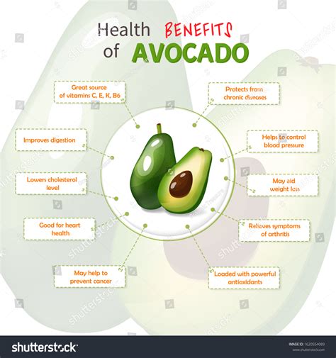 Infographic showing the 4 oils: avocado, grape, olive, and blackcurrant, and their benefits for hair