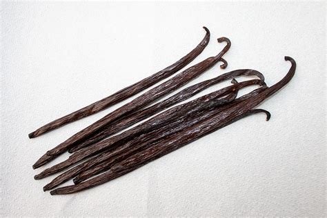 Esquema visual de los diferentes productos de vainilla (vaina, extracto, pasta, polvo)